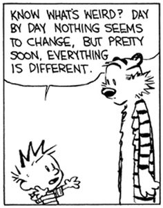 06817329b95e621e9b317ef261038fcb